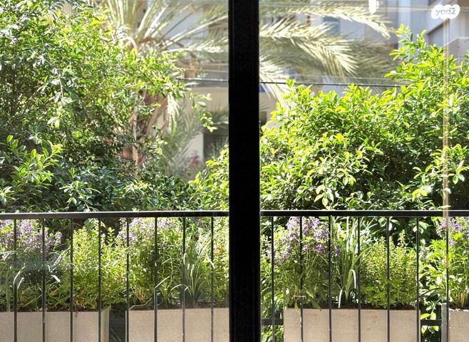 לב תל אביב, לב העיר צפון