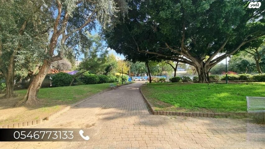 דירה, פתח תקווה