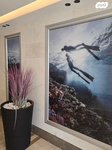 דירה, אשקלון