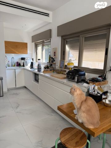 דירה, שי"ר, הצפון הישן - צפון, תל אביב יפו