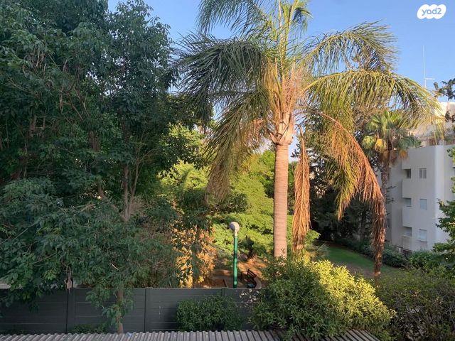 דירת גן, מרכז, הרצליה