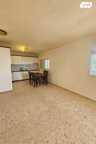 אריה בן אליעזר 