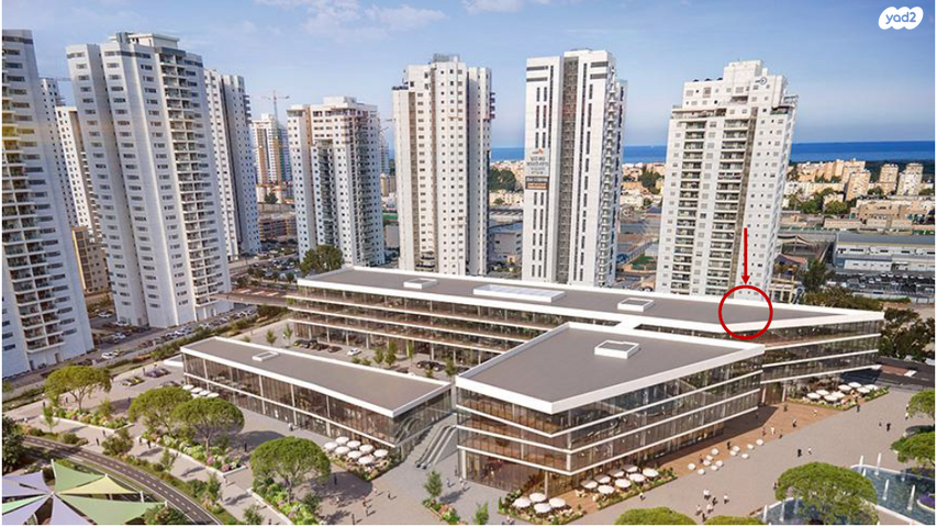 שושנה דמארי 1