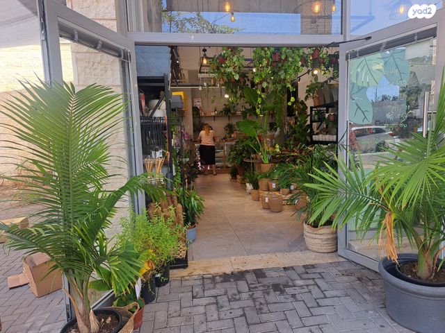 חנויות/ שטח מסחרי