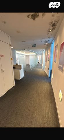 הרצליה פיתוח