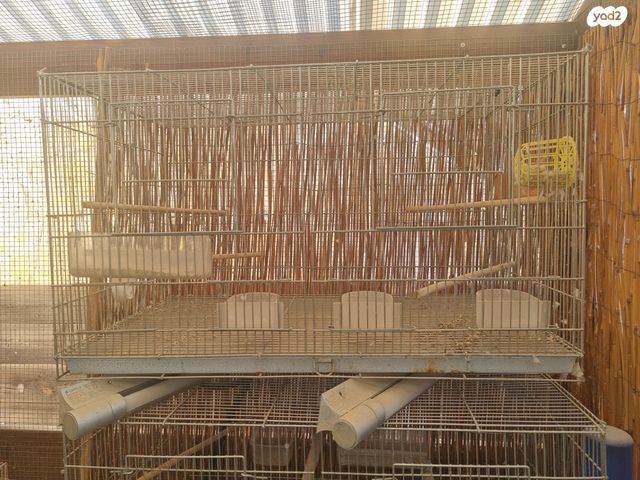 תמונת מודעה - חיות מחמד