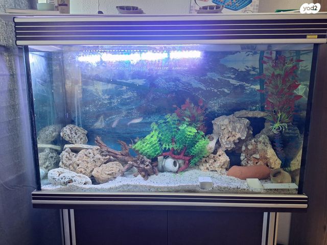 אביזרים | אקווריום