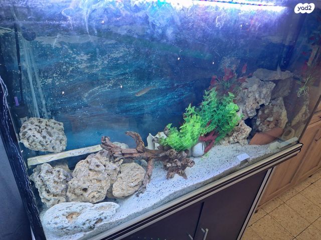 אביזרים | אקווריום