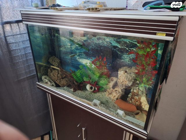 אביזרים | אקווריום