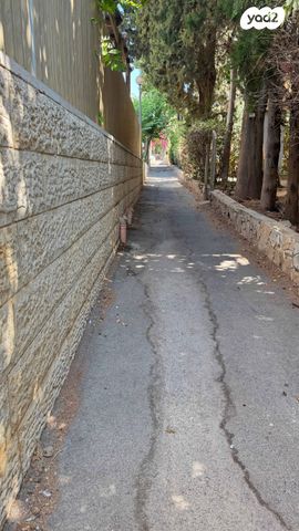 דירה, התיכון, נווה שאנן, חיפה