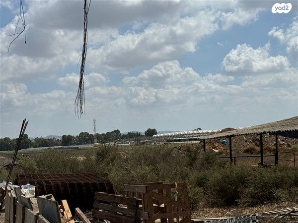 משק חקלאי/ נחלה