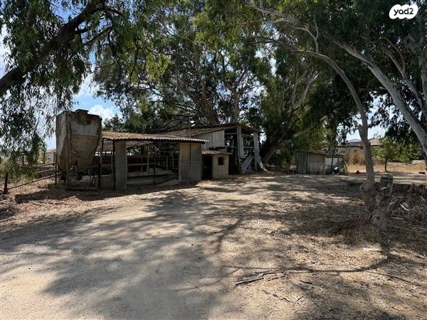 משק חקלאי/ נחלה, בארותיים