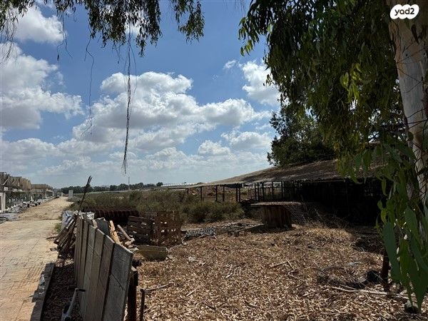 משק חקלאי/ נחלה, בארותיים