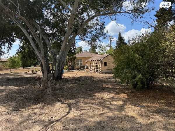 משק חקלאי/ נחלה, בארותיים