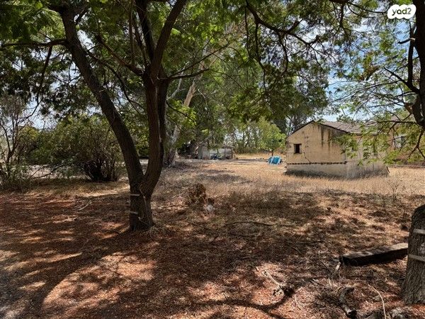 משק חקלאי/ נחלה, בארותיים