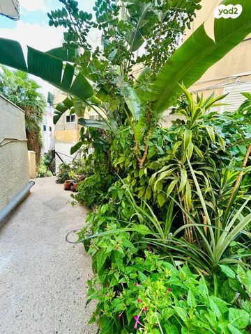 דירה, מסדה, מסדה, חיפה