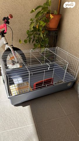 תמונת מודעה - חיות מחמד