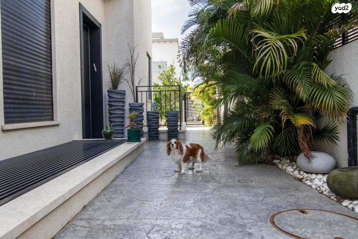 דו משפחתי, האחווה 31, שרונה, כפר יונה