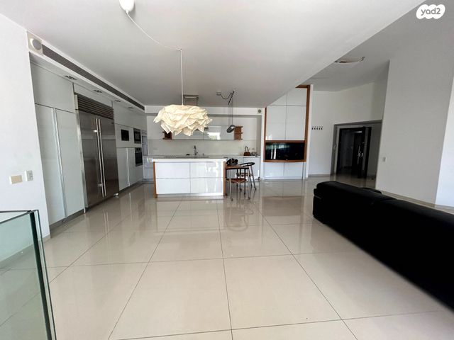 גג/ פנטהאוז