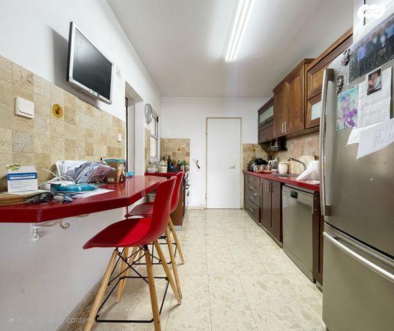 יגאל אלון 11