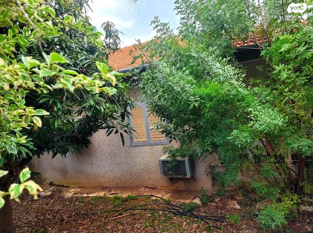 ליפא קרפל 15