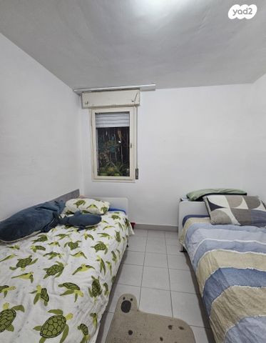 ההסתדרות 207