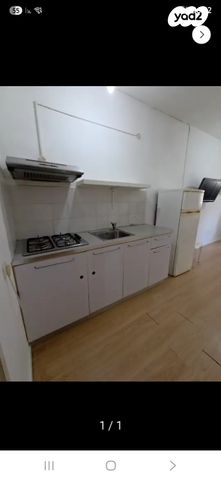 יהושע חנקין 26