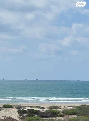 שדרות הנשיא טרומן 