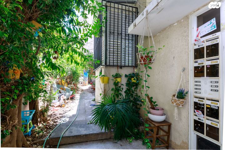 דירה, רופין, הצפון הישן - דרום, תל אביב יפו