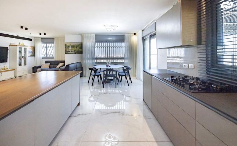 גג/ פנטהאוז, משה לוי, נאות שמיר, רמלה