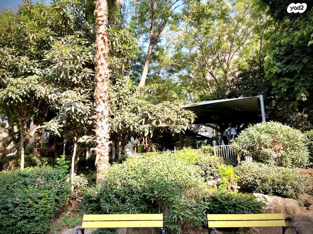 גג/ פנטהאוז, נהלל, נחלת יצחק, תל אביב יפו