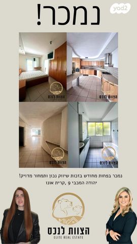 יהודה המכבי 