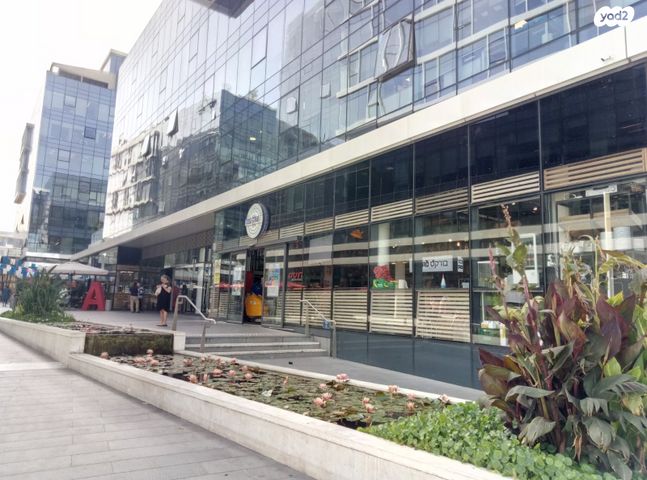 ראול ולנברג 18