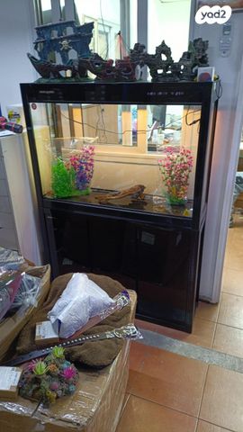 תמונת מודעה - חיות מחמד