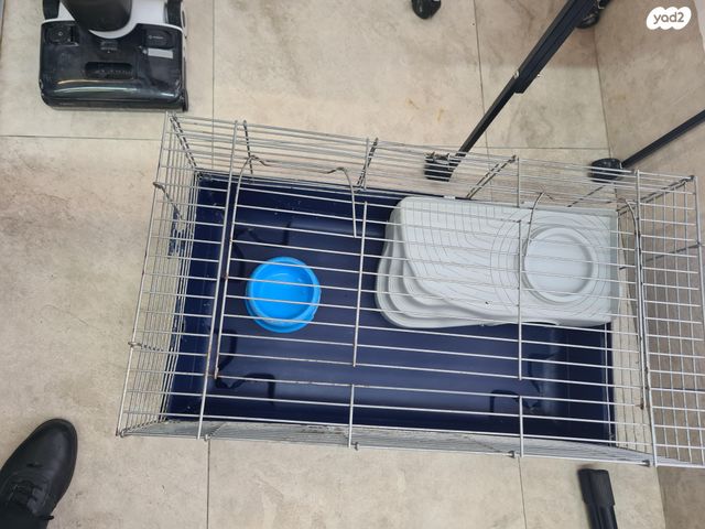 תמונת מודעה - חיות מחמד