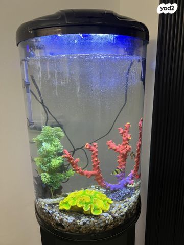 תמונת מודעה - חיות מחמד