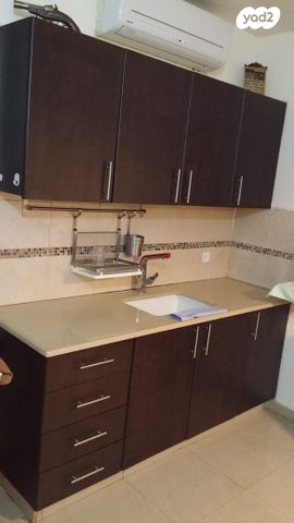 ברודצקי אשר 33