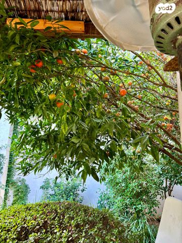 בית פרטי/ קוטג', ארסוף, ארסוף