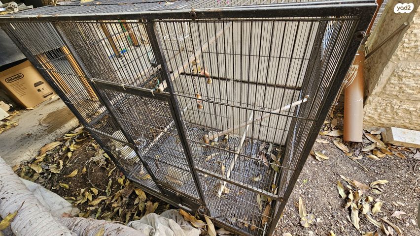 תמונת מודעה - חיות מחמד