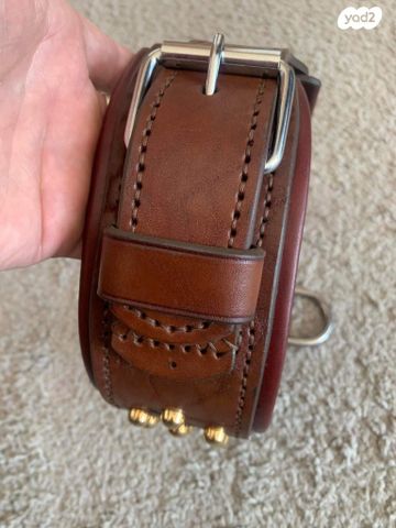 אביזרים | קולר