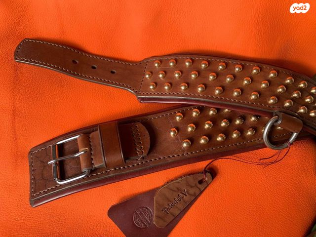 אביזרים | קולר