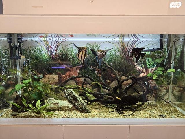 אביזרים | אקווריום