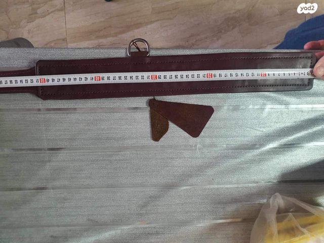 אביזרים | קולר