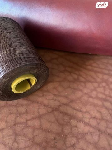 אביזרים | קולר