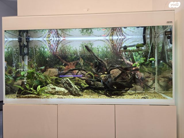 אביזרים | אקווריום