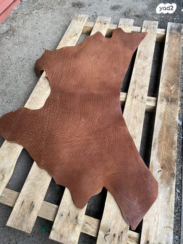 אביזרים | קולר