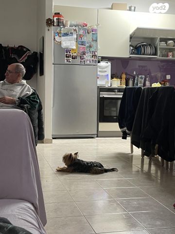 דירה, שמחה הולצברג 30, פסגת זאב, ירושלים