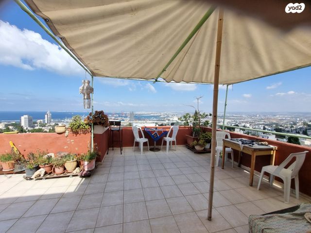 גג/ פנטהאוז, כינרת, הדר עליון, חיפה