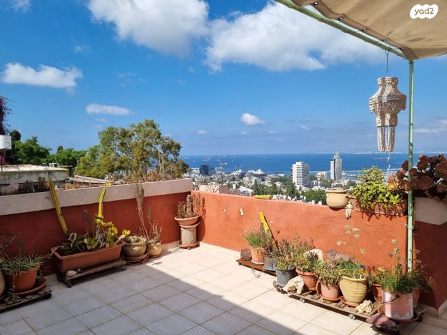 גג/ פנטהאוז, כינרת, הדר עליון, חיפה