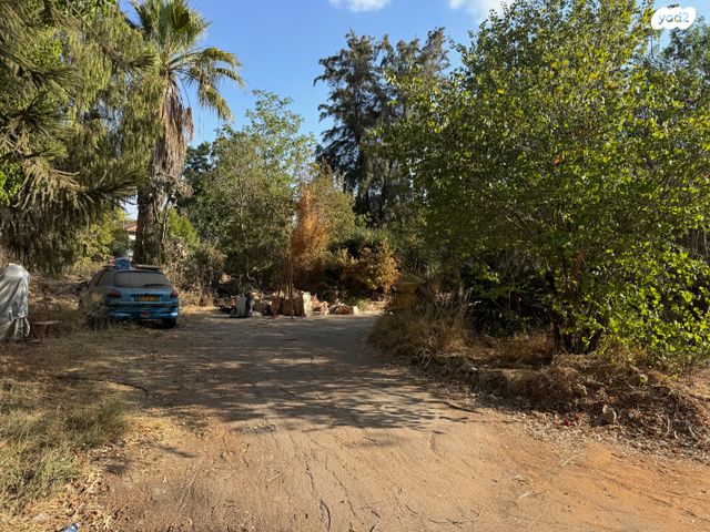 משק חקלאי/ נחלה